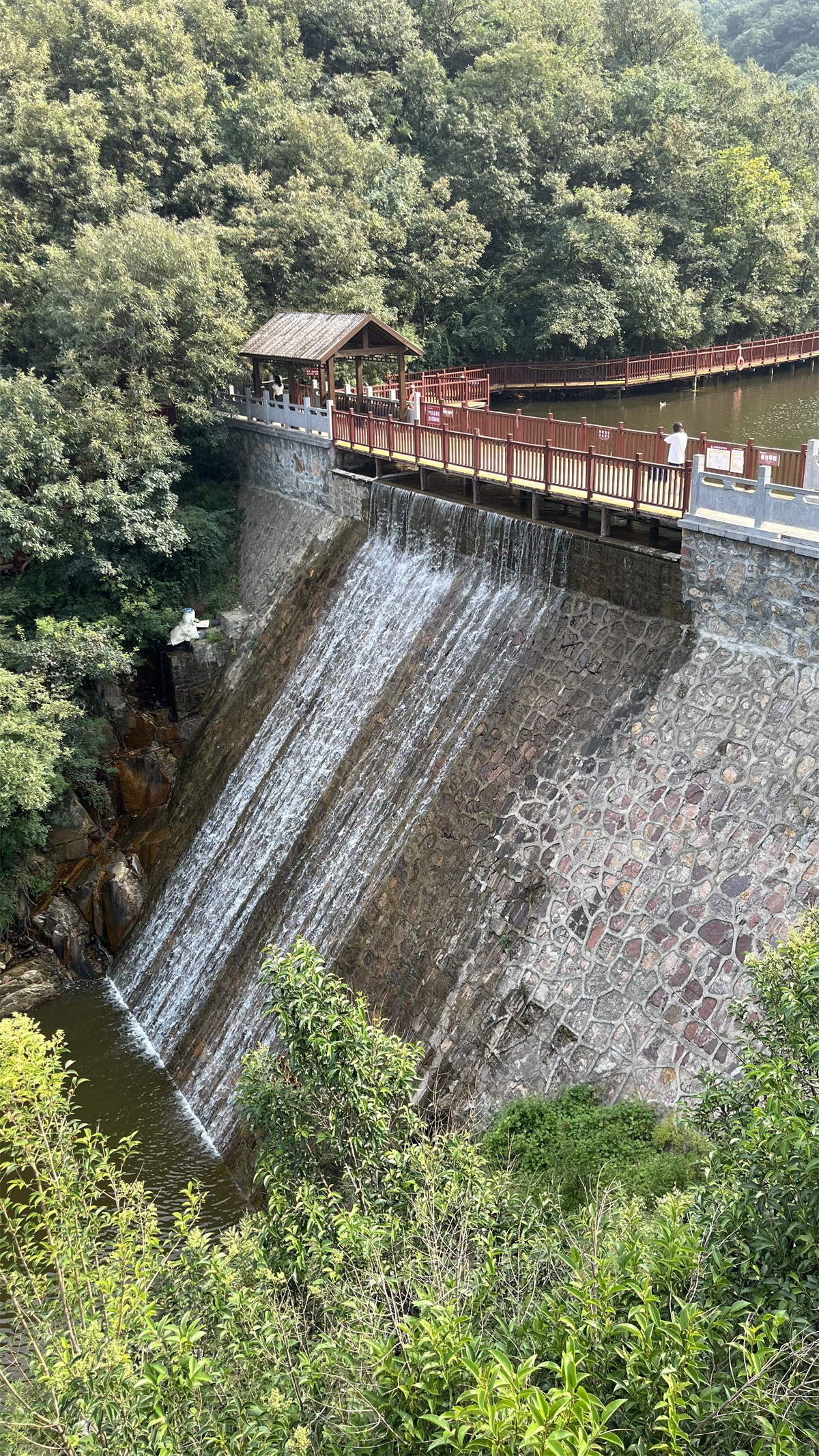 团建|同心同行  金博大装饰集团秋日团建登封摘星楼(图3)